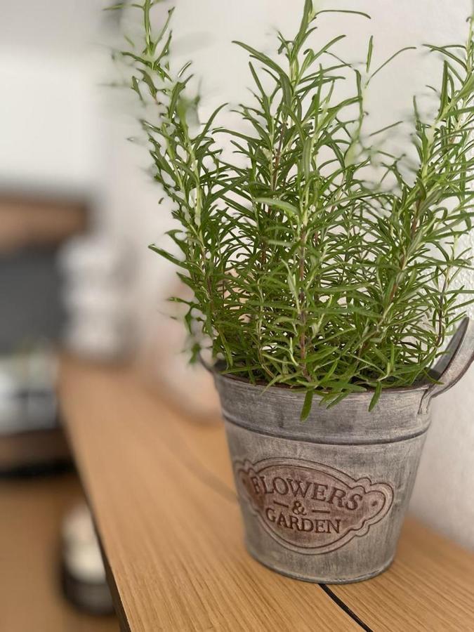 B&B Dimora דורגלי מראה חיצוני תמונה